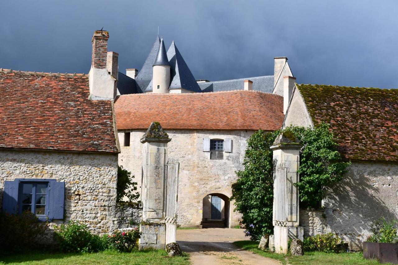 Un château en Bourgogne Saincaize-Meauce Extérieur photo
