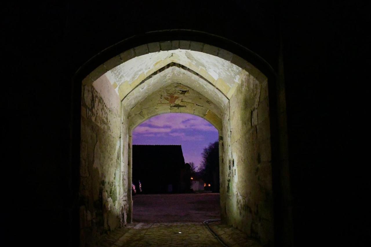Un château en Bourgogne Saincaize-Meauce Extérieur photo