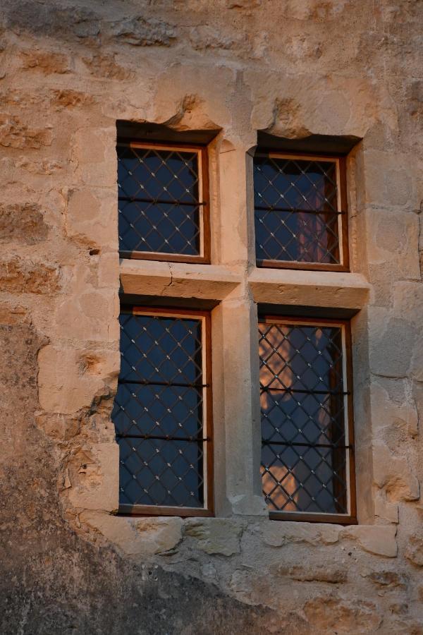 Un château en Bourgogne Saincaize-Meauce Extérieur photo