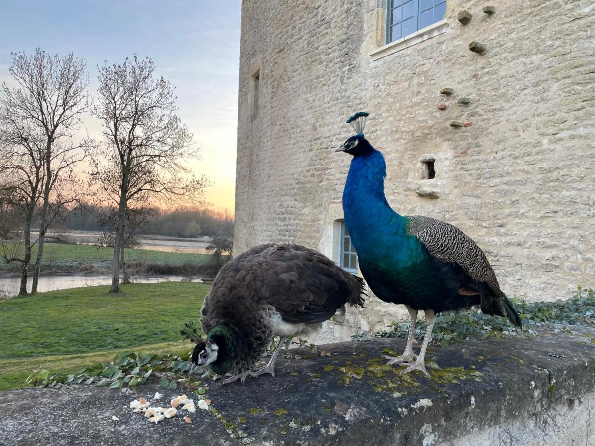 Un château en Bourgogne Saincaize-Meauce Extérieur photo